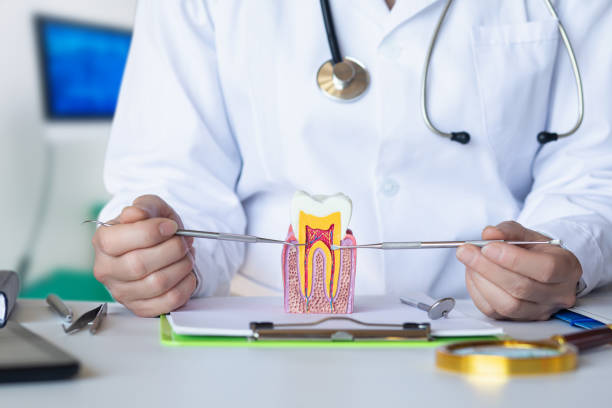 Best Emergency Dentist for Lost Fillings or Crowns in Gladewater, TX
